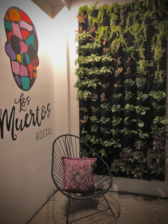 Los Muertos Hostal 巴亞爾塔港 外观 照片